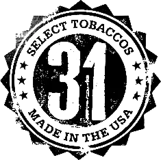 31 logo